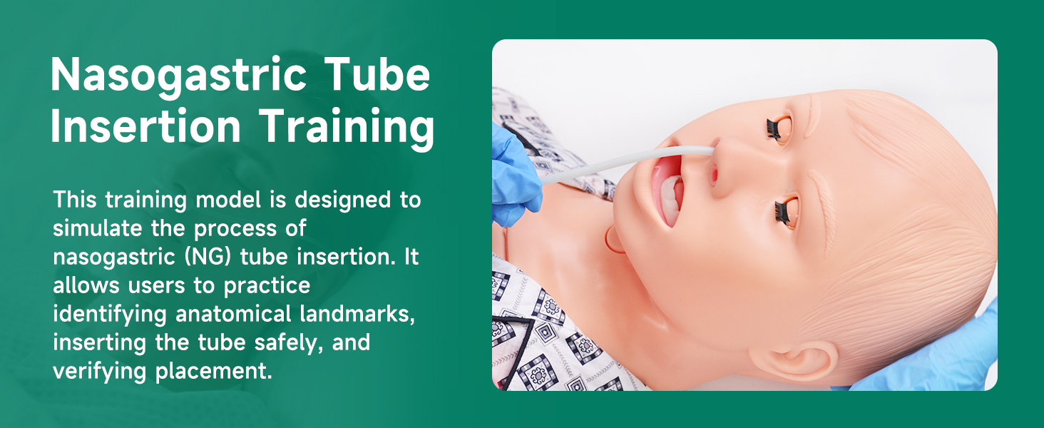 {"default":"Medical Training Dummy for Nasogastric Tube Insertion Training"}
